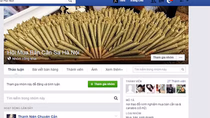 Cảnh giác với chiêu lừa đảo tiên dược "cần sa y tế"