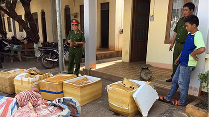 Phát hiện xe tải chở 460kg thịt heo không rõ nguồn gốc