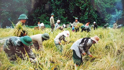 Tháng chạp ở thung lũng đại ngàn Trường Sơn