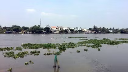 Ngưng lấy nước trên sông Sài Gòn do nhiễm mặn