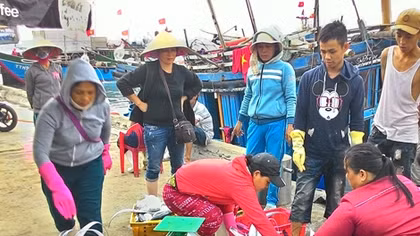 Hỗ trợ khẩn cấp gần 3.000 tàu, thuyền đánh cá vươn khơi