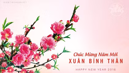 Bộ trưởng Trần Đại Quang chúc mừng năm mới 