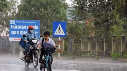 Long An xuất hiện cơn “mưa vàng”