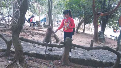 Bảo tồn loài khỉ giữa khu du lịch sinh thái