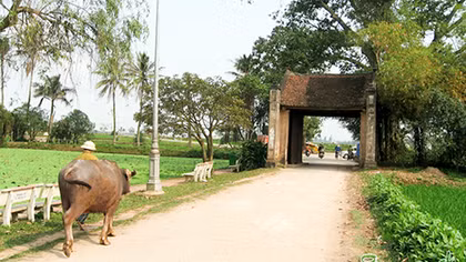 Làng và nước mắt thời mở cửa