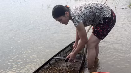 Đời hến bên sông Trà