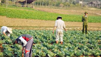 Truyền hơi ấm tình người cho những cuộc đời lầm lỡ