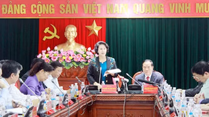Giám sát, kiểm tra công tác chuẩn bị bầu cử ĐBQH khóa XIV và HĐND các cấp