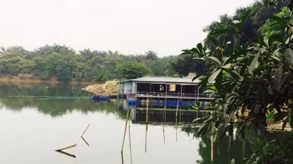 Buông lỏng quản lý đang tàn sát “lá phổi xanh” Thủ đô