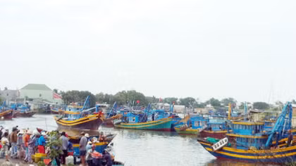 Lỗ hổng trong quản lý thuyền viên là nguy cơ lớn gây tai nạn đường thủy