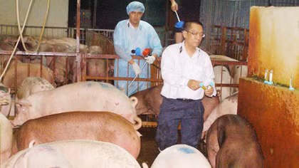 Bài 2: Nhận diện “thuốc độc” trên mâm cơm