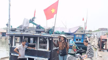 Hệ lụy từ tình trạng cá chết ở vùng biển miền Trung