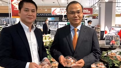 Đa dạng hình thức quảng bá vải thiều Việt Nam tại Nhật Bản