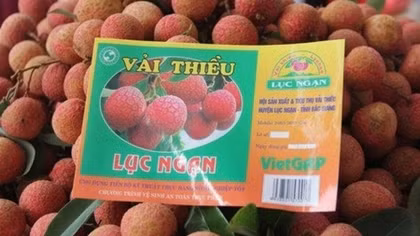 Đẩy mạnh bán vải thiều online tại thị trường nội địa
