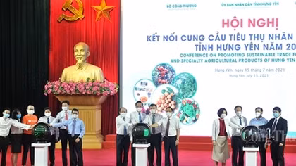 Đẩy mạnh tiêu thụ nhãn và nông sản Hưng Yên