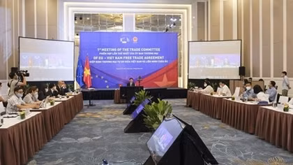 Việt Nam – EU rà soát việc thực thi Hiệp định EVFTA
