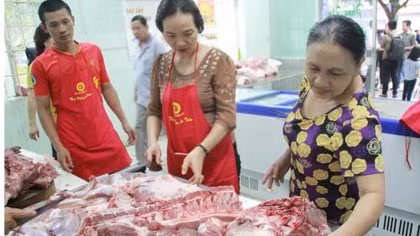 Bảo đảm cân đối nguồn thịt lợn trước diễn biến dịch tả lợn châu Phi
