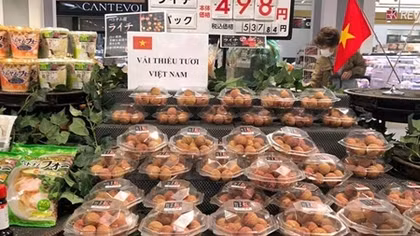 Vải thiều Việt Nam được yêu thích tại thị trường Nhật Bản