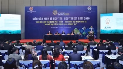 Tăng cường hỗ trợ, phát triển kinh tế tập thể