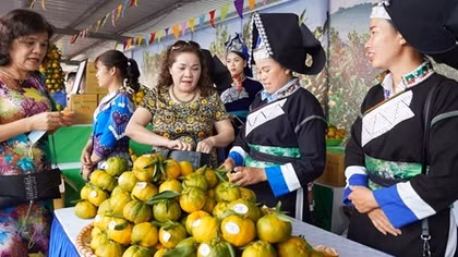 GDP quý I/2021 ước tính tăng 4,48%