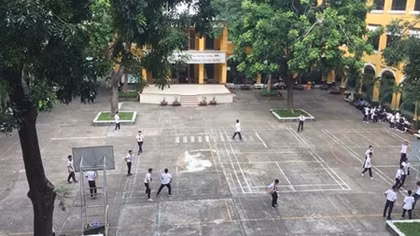 Trồng cây gì trong trường học để an toàn