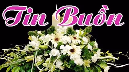 Đại tá Trần Sơn từ trần