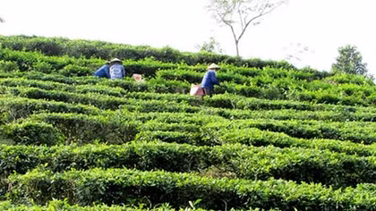 Chuyển Bộ Công an điều tra việc sử dụng nhà đất tại 3 tập đoàn, tổng công ty