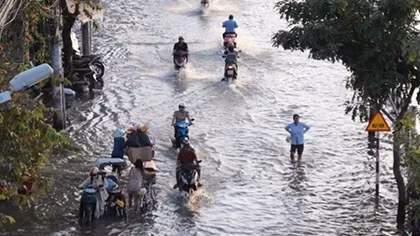 Lao đao vì triều cường đạt đỉnh 