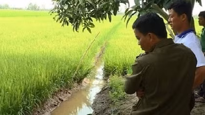 Những vụ án đau lòng từ bẫy điện
