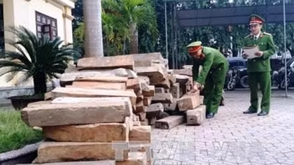 Hơn 4m³ gỗ lim và sến “không có giấy tờ”