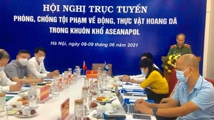 Tham vấn trực tuyến ASEANAPOL về tội phạm liên quan đến động, thực vật hoang dã