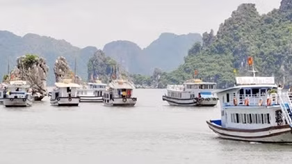 Quảng Ninh yêu cầu tạm dừng tăng phí tham quan
