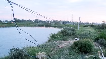 Mẹ chết thảm vì vướng vào dây điện bẫy chuột của con trai