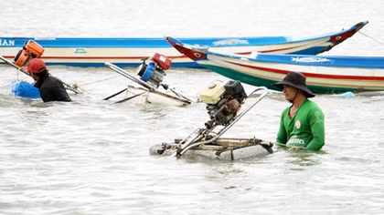 Cà Mau yêu cầu người dân không khai thác nghêu giống bằng cơ giới