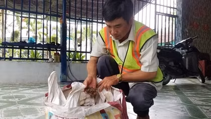 Lặng lẽ tô điểm cho cuộc sống bình yên