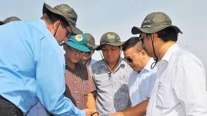 Nhiều kỳ vọng từ điện gió