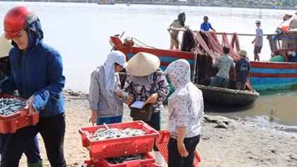 Nghiệp đoàn nghề cá chỗ dựa của ngư dân vươn khơi bám biển