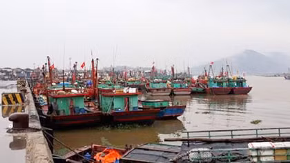 Kêu gọi gần 4.000 tàu cá vào bờ trú ẩn an toàn