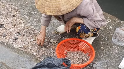 Những phận đời mưu sinh nơi cửa biển