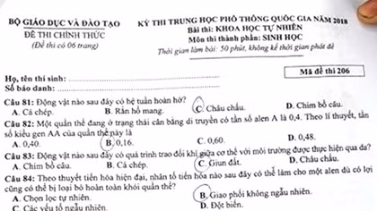 Đề thi môn Sinh - Kỳ thi tốt nghiệp THPT quốc gia 2018