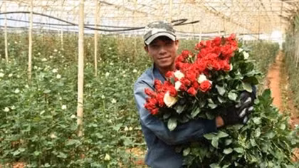 Chuyện khởi nghiệp của đôi bạn trẻ dưới chân núi Langbiang