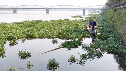 Kết hợp nhiều giải pháp làm sống lại các dòng sông