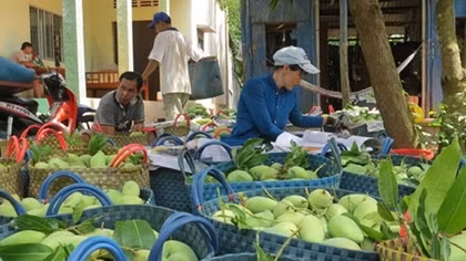 Trái cây đồng bằng sông Cửu Long: Nâng chất để xuất ngoại