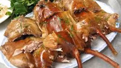 Các vị thuốc từ chuột