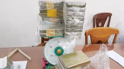 Chuyên án đào hang bắt chuột