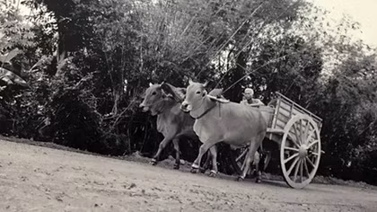 “Căn cứ lòng dân” giữa Sài Gòn (kỳ cuối)