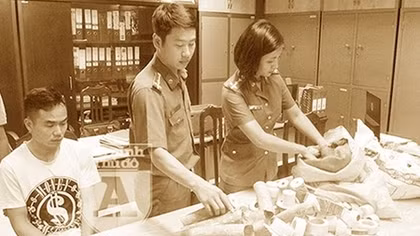 Cảnh báo tình trạng mua bán ngà voi tại các làng nghề