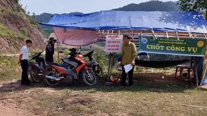 Ngăn chặn khai thác quả ươi theo kiểu tận diệt
