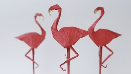 VCCA giới thiệu vẻ đẹp nghệ thuật Origami qua triển lãm “Những đôi cánh”