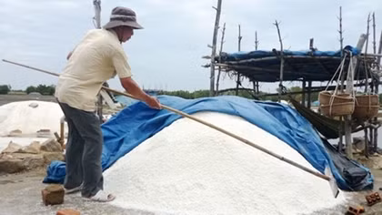 Diêm dân khóc ròng vì muối ế